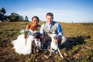 Wedding Favor Donation