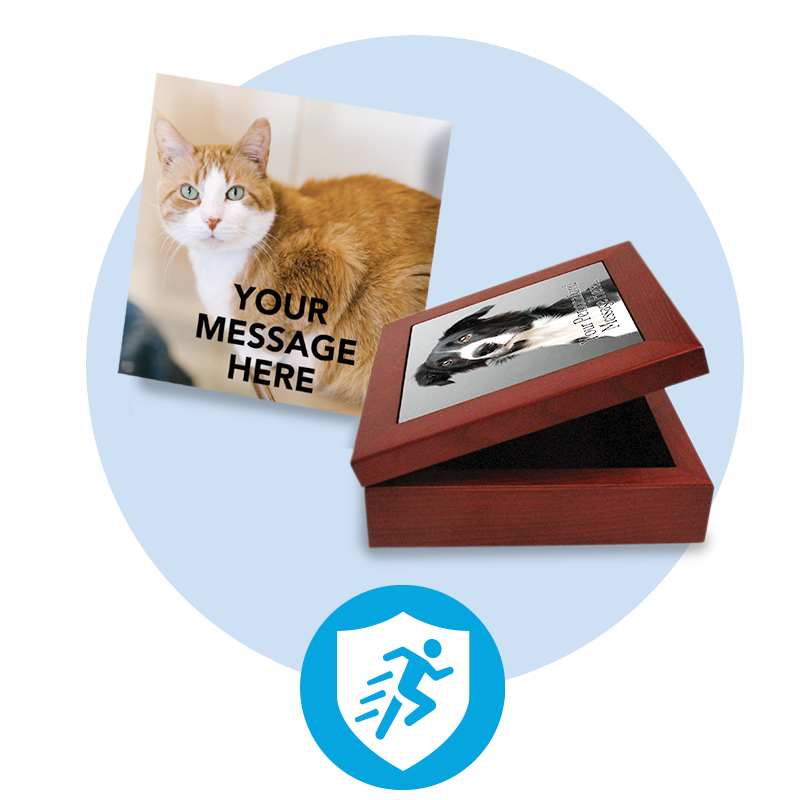 a box with a picture of a cat and a dog