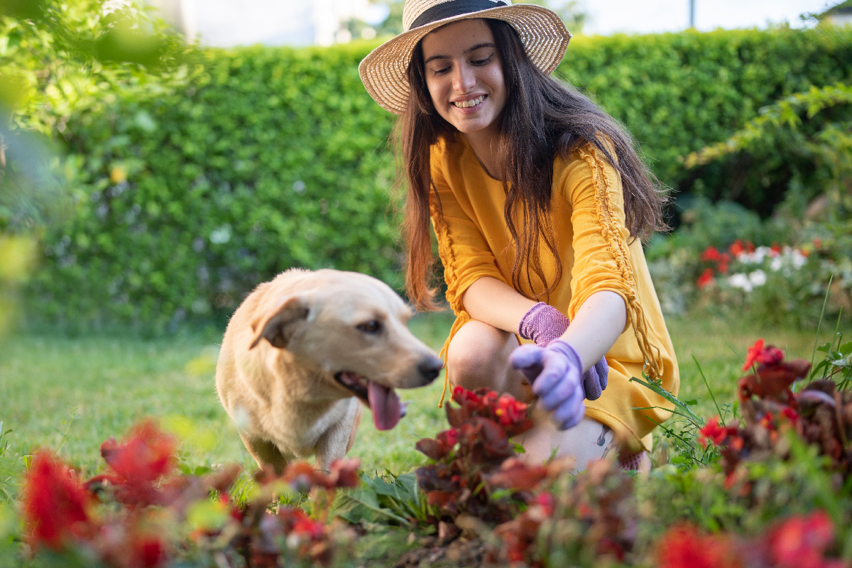 pet-garden-safety-img1330221028 a woman in a hat and gloves kneeling next to a dog