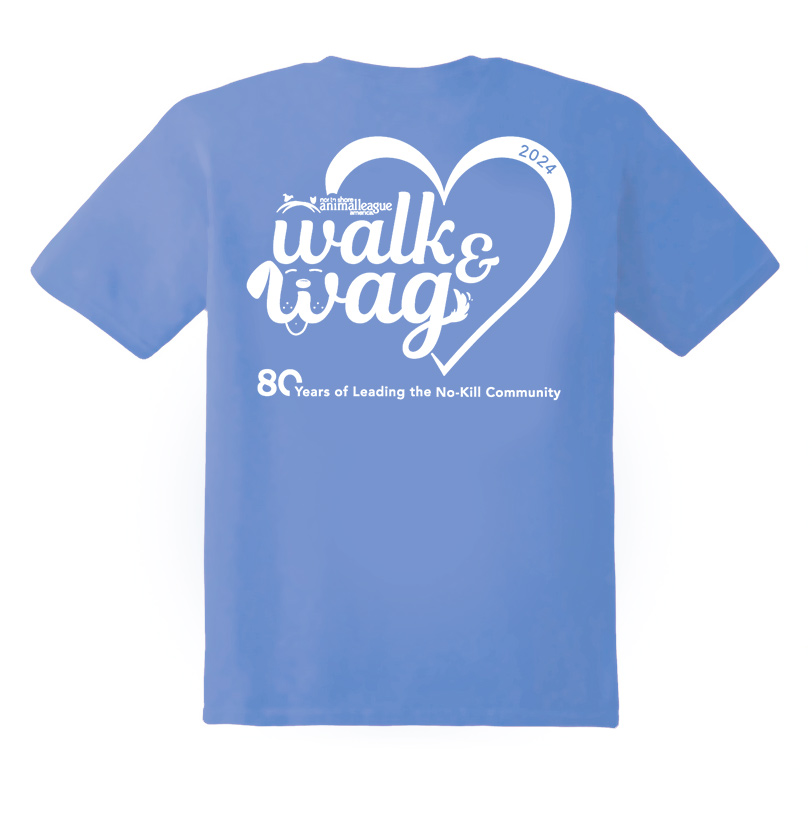 a back of a blue shirt