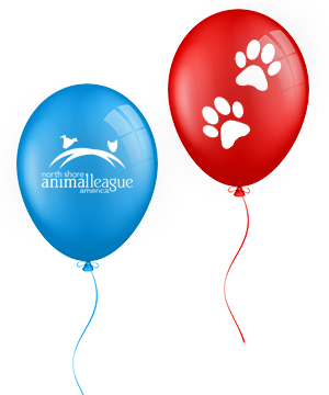 a red and blue balloons with paw prints
