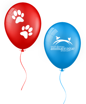 a red and blue balloons with paw prints