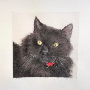 Leon Bear, watercolor by Howard Stern