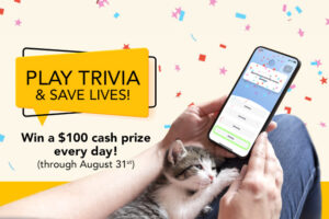 Big Heart Trivia August Contest