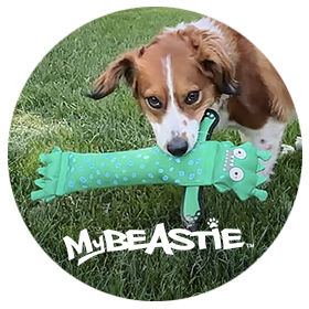 a dog holding a toy in its mouth