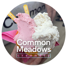 a hand holding a pink and white ice cream cone