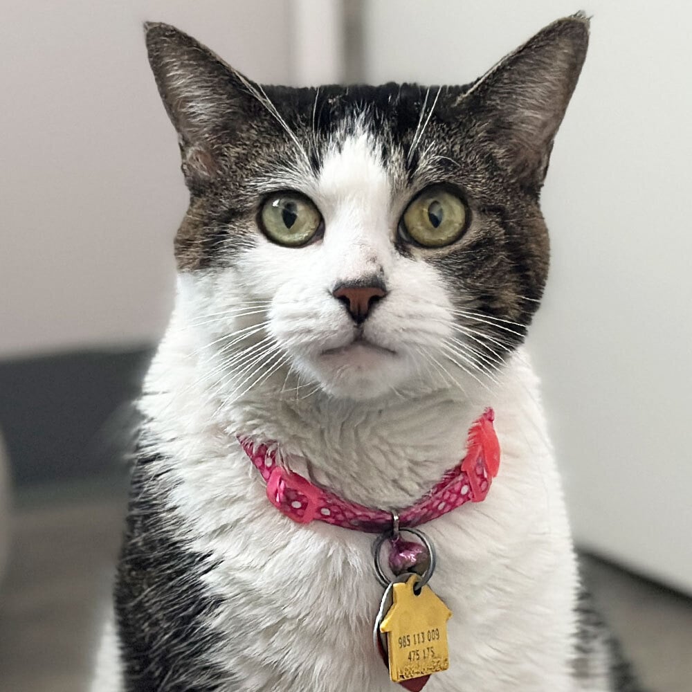 Meet Lucinda
