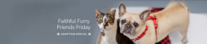 Faithful Furry Friends Friday