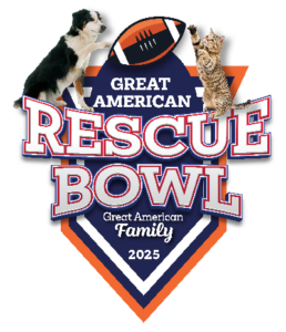Great American Rescue Bowl 2025
