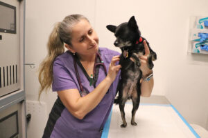 Help Suzy Heal
