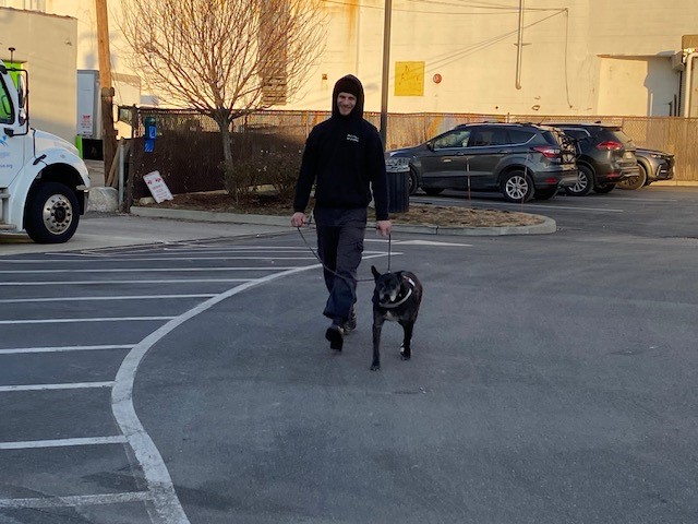 a man walking a dog on a leash in a parking lot