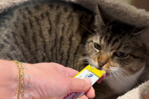 Beth's Blog February 2025