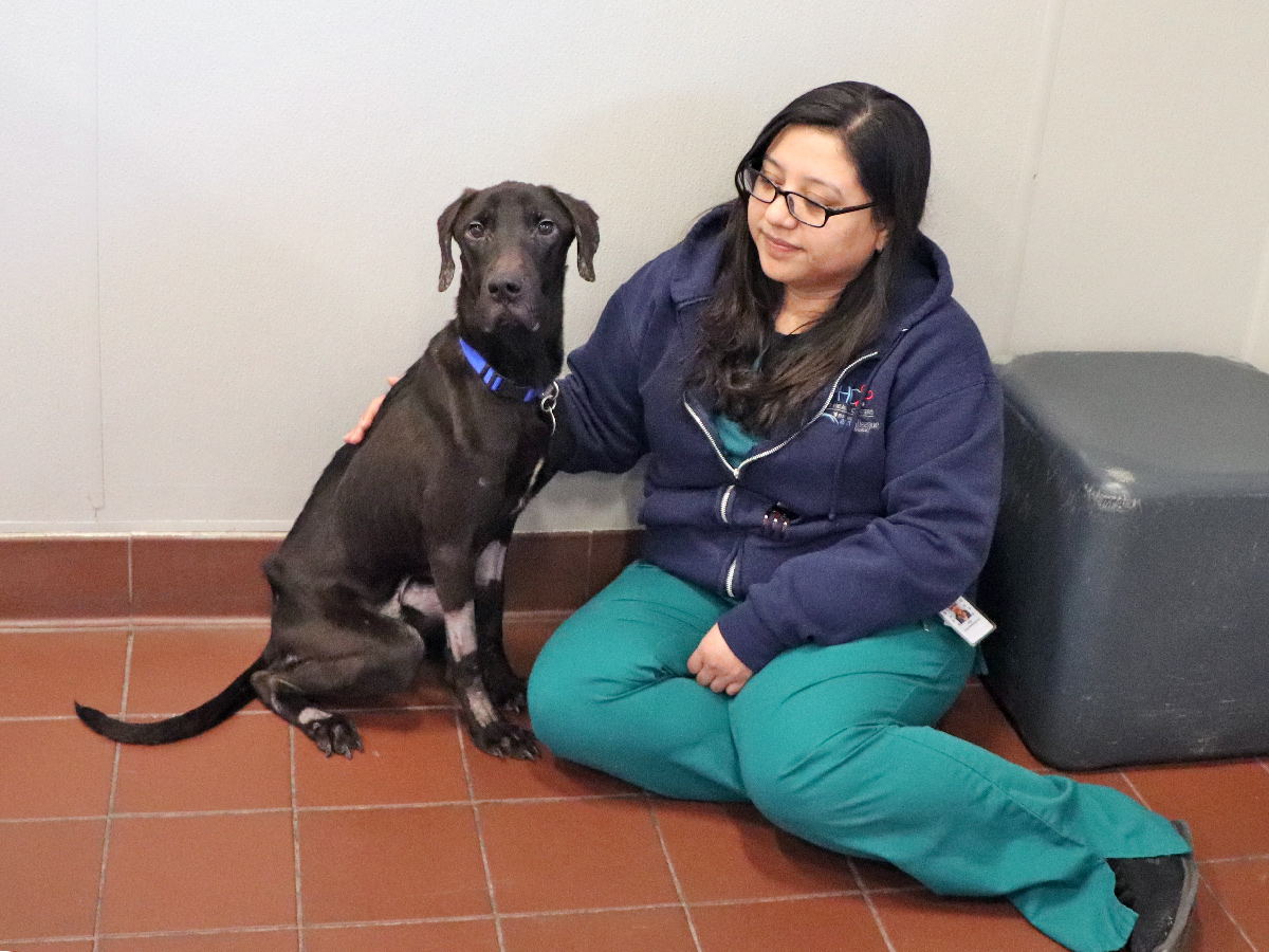 a woman sitting on the floor with a dog