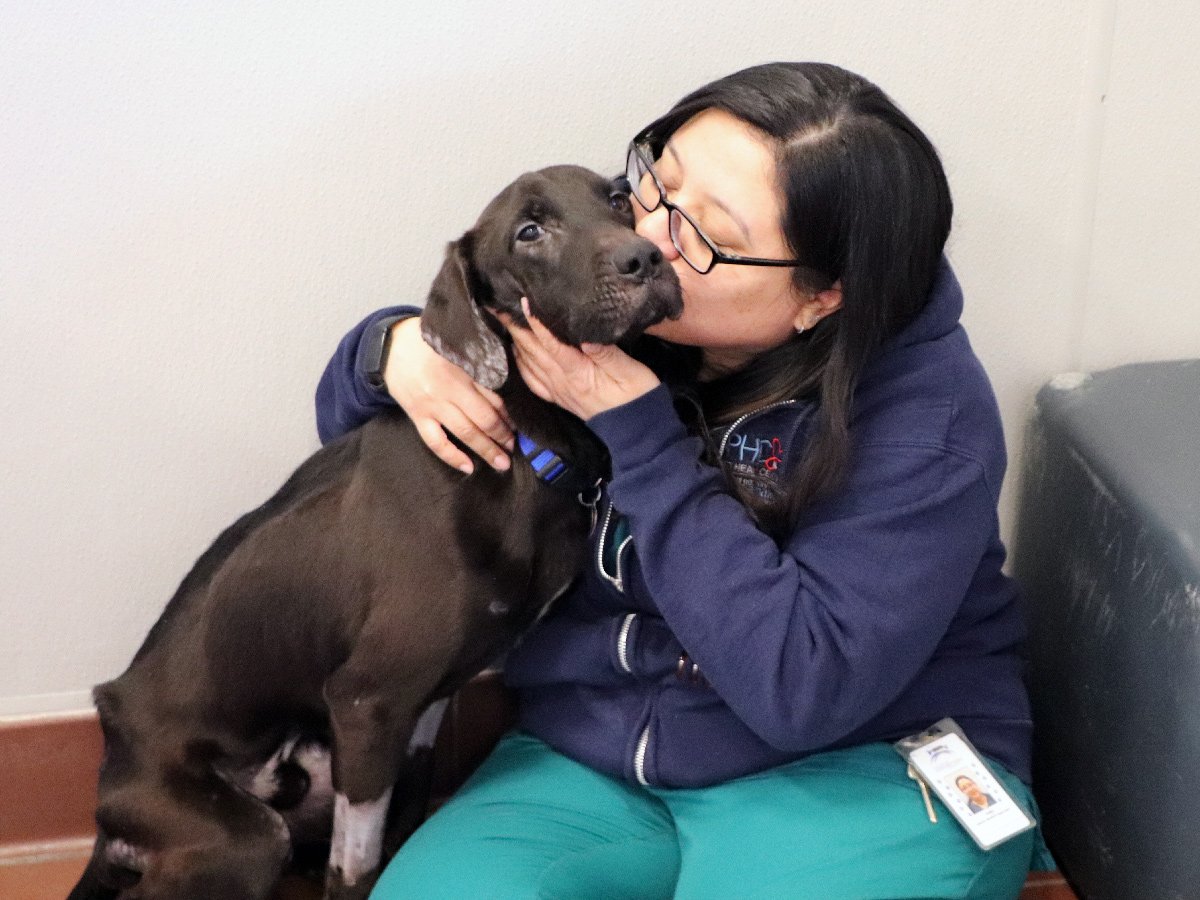 a woman kissing a dog