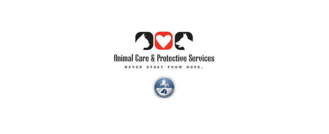 Animal Care & Protective Services