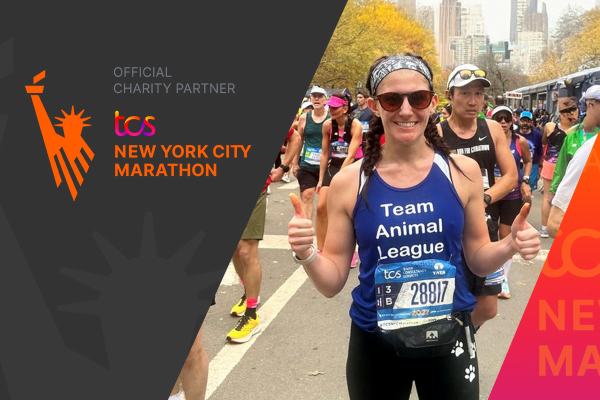 2025 TCS NYC Marathon