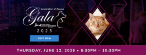 gala image for beth's blog
