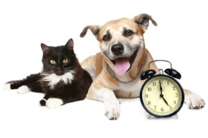 Change of Hours
