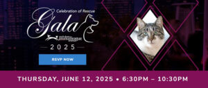 Celebration of Rescue 2025