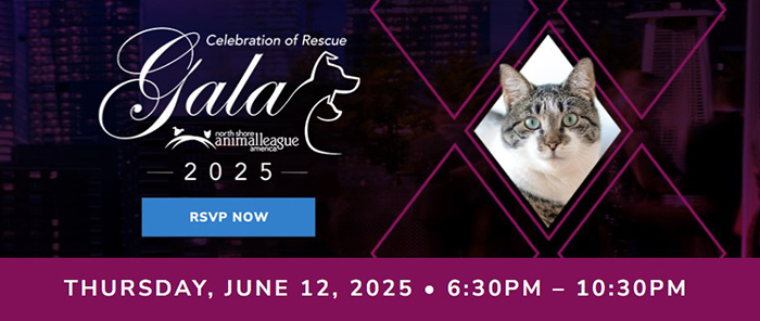Celebration of Rescue 2025 Celebration of Rescue 2025