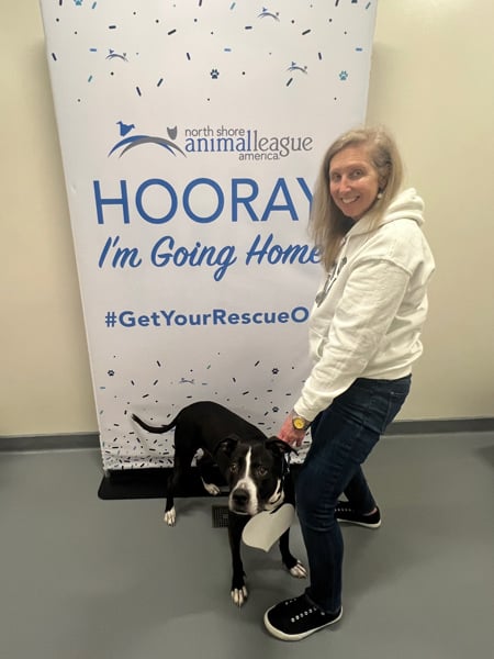 Norbert finds a home! Norbert finds a home!