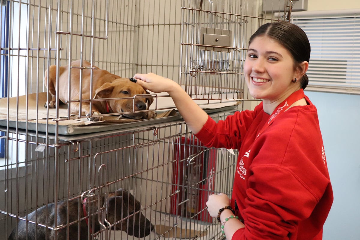 Volunteer Grace Cannizzaro Volunteer Grace Cannizzaro
