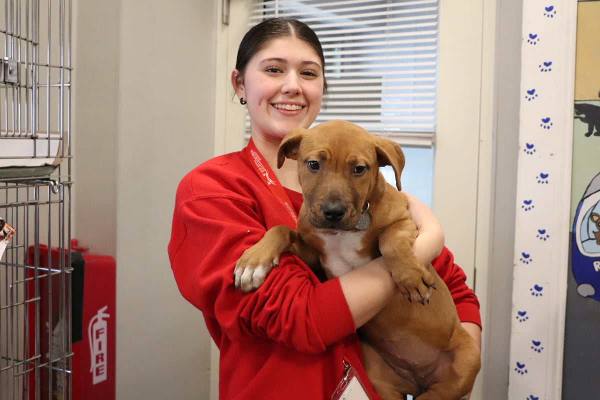 Volunteer Grace Cannizzaro Volunteer Grace Cannizzaro