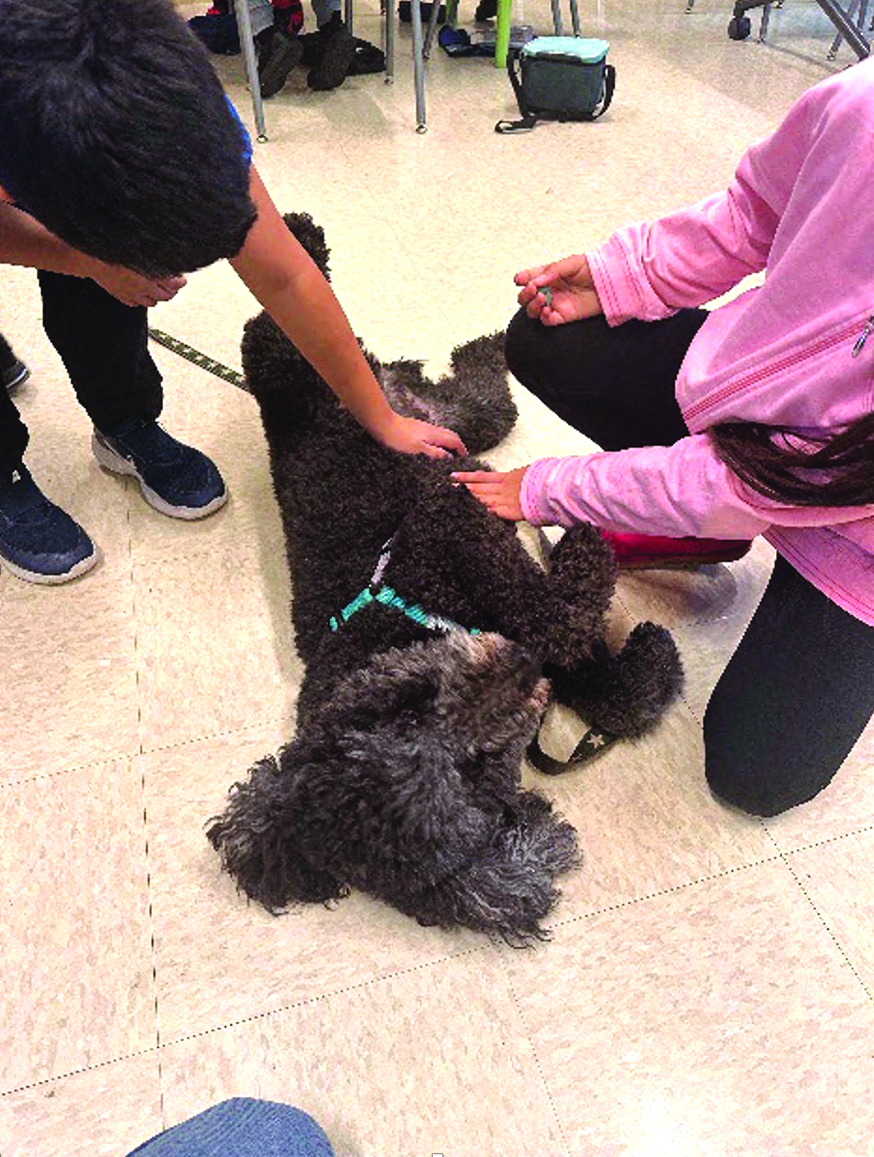 a group of people petting a dog