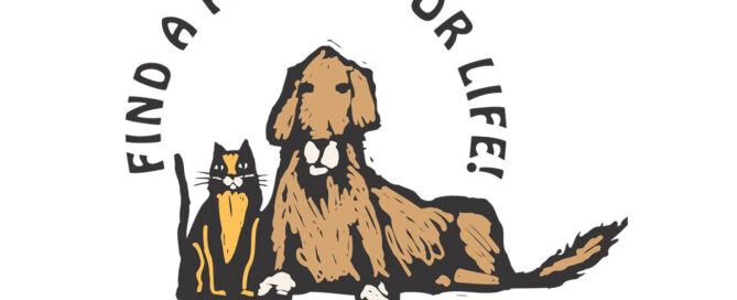 friends of new haven animal shelter