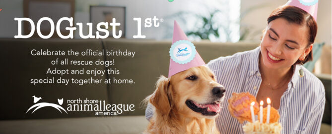 DOGust 1st