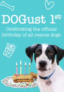 DOGust 1st