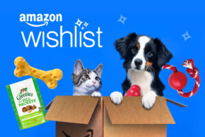 Amazon Wishlist