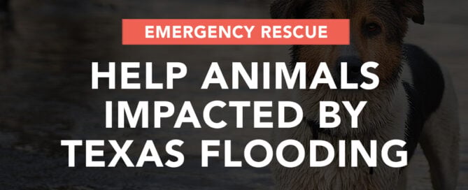 Emergency Rescue
