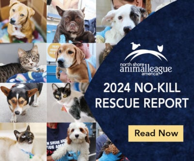 2024 Annual Report