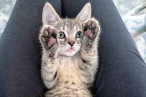 Beth's Blog, August 2025