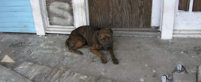 Twenty Years After Katrina Our Work Continues