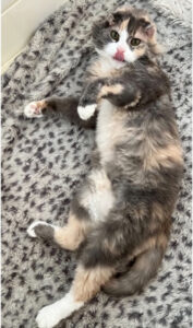 Beth's Blog, September