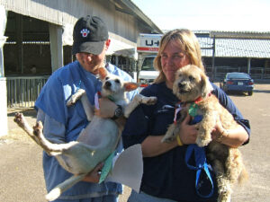 20 Years After Katrina