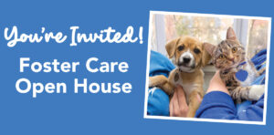 Foster Care Open House