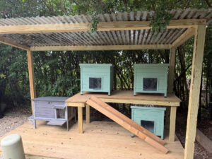 Beth and Howard's Feral Village