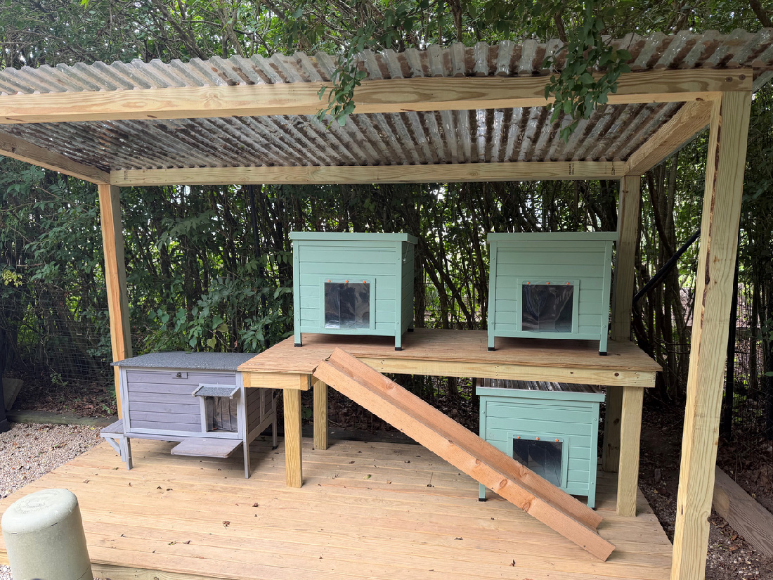 Beth and Howard's Feral Village