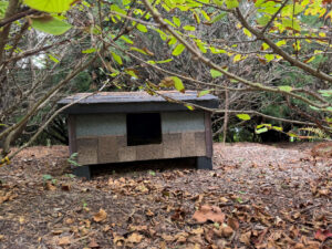 Beth and Howard's Feral Village