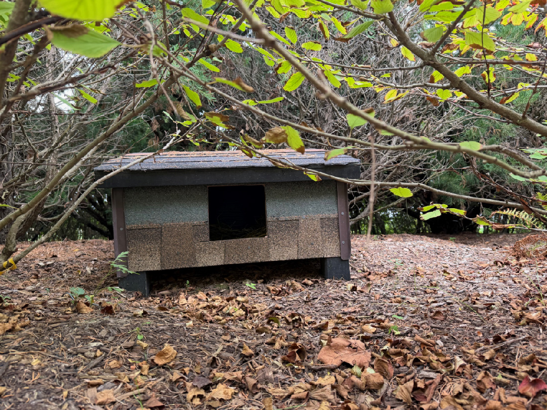 Beth and Howard's Feral Village