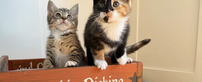 Beth's Blog, October 2025