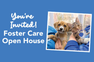 Foster Care Open House