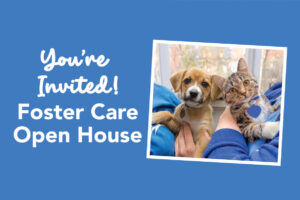 Foster Care Open House