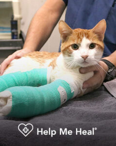 Help Me Heal Program