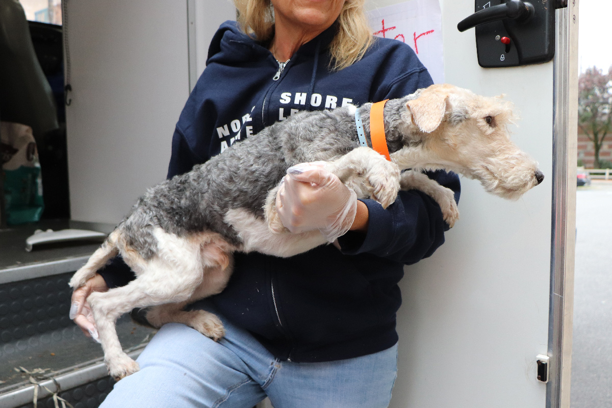 Teddy; Mill Rescue, October 2025