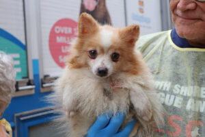 Mill Rescue, October 2025