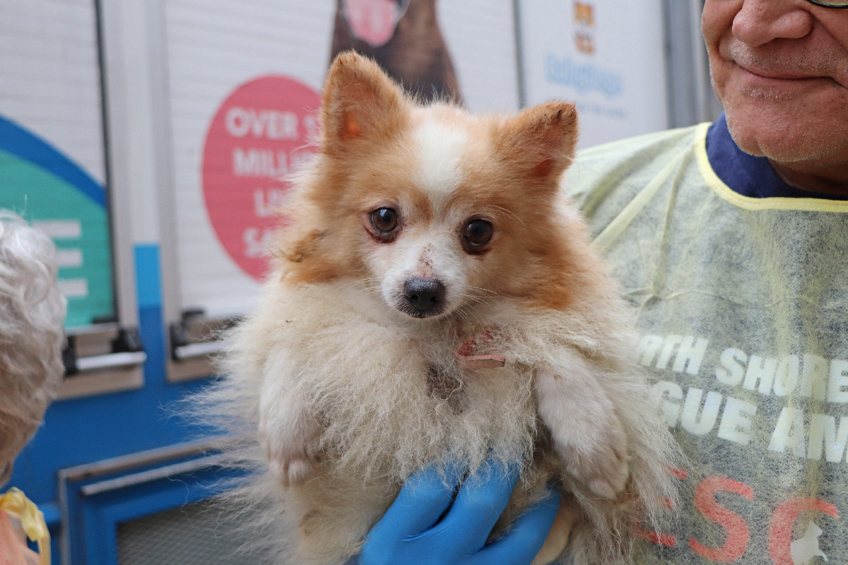 Mill Rescue, October 2025